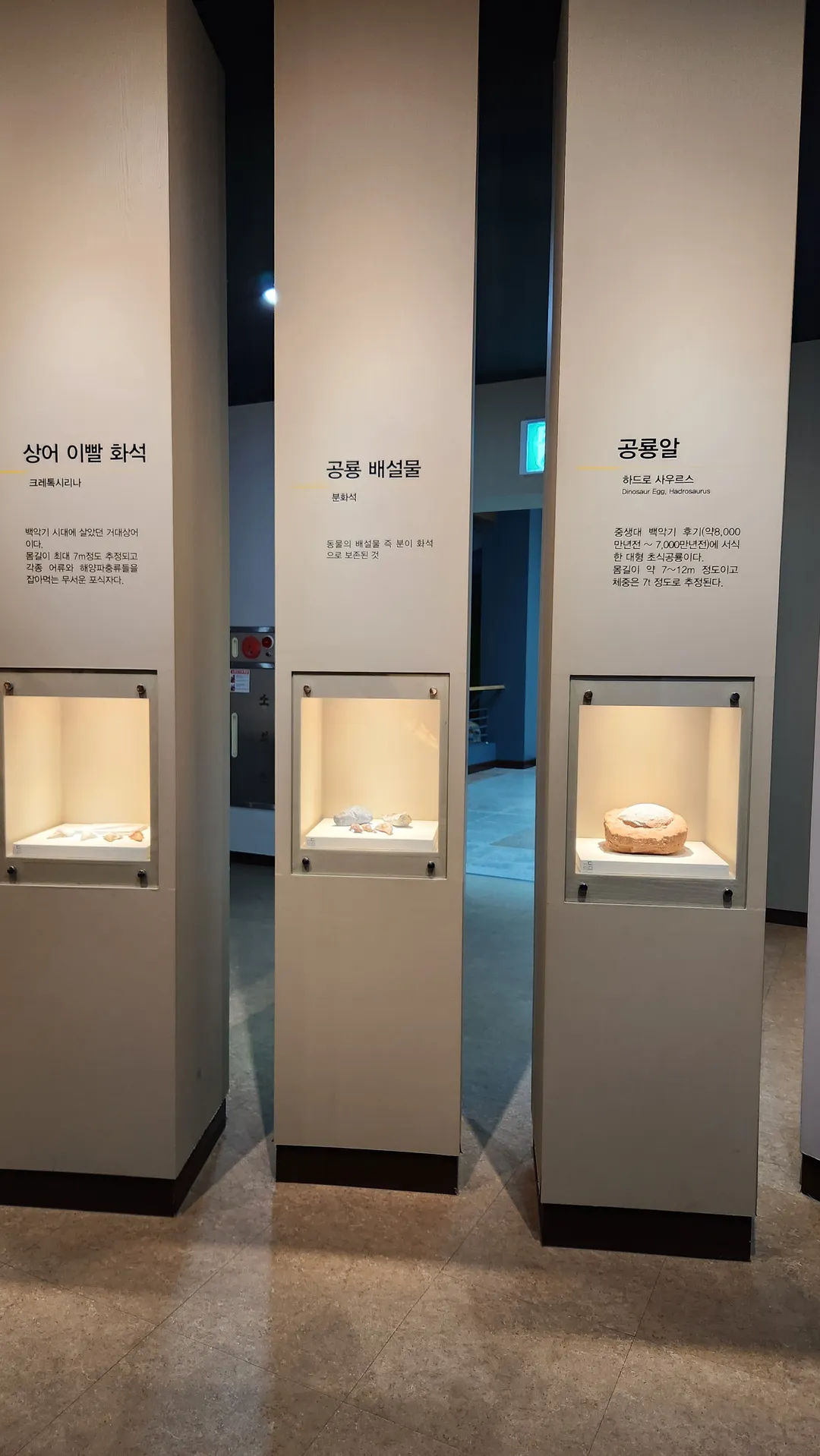 청주랜드 어린이회관 제3관 사진 8