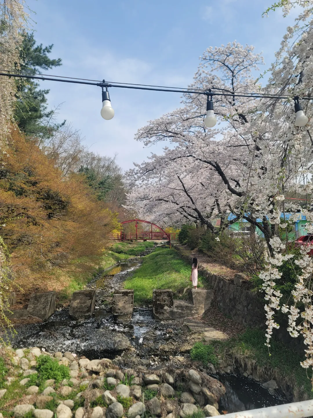 수원빵다방A 사진 11