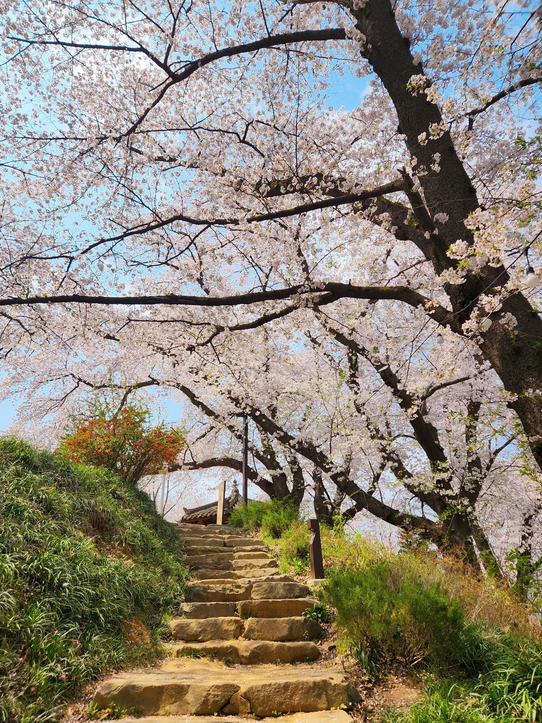 충청남도역사박물관 사진 21