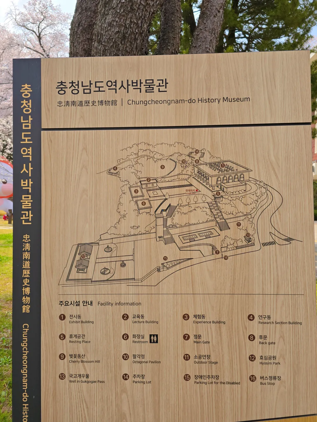 충청남도역사박물관 사진 14