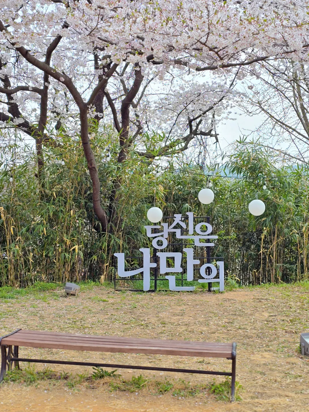충청남도역사박물관 사진 20