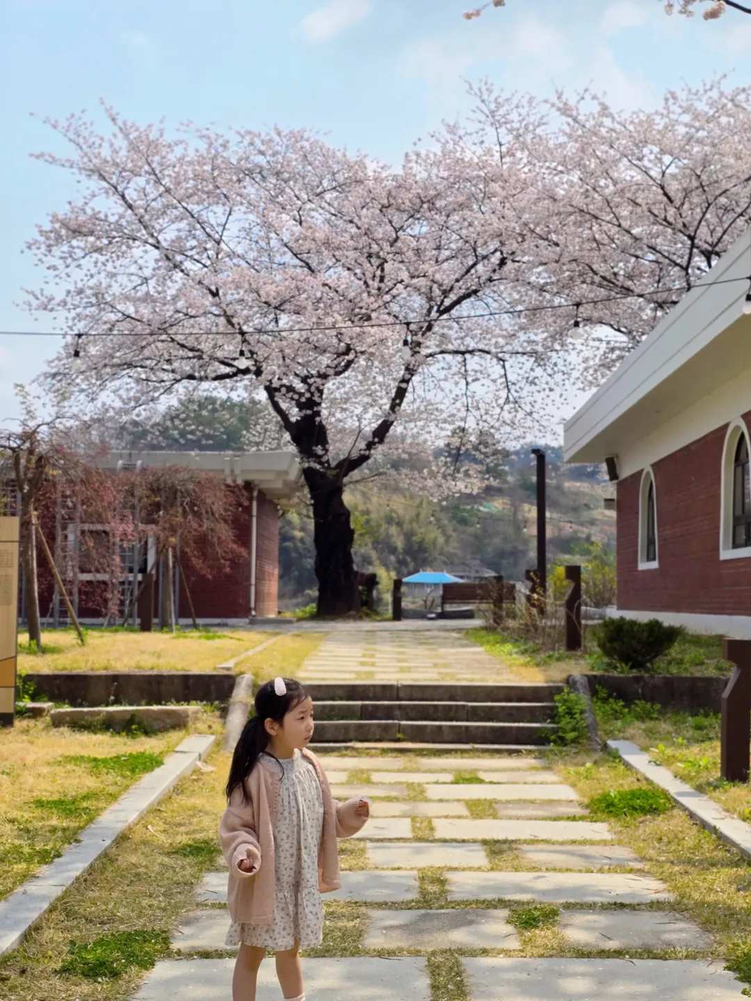 충청남도역사박물관 사진 18