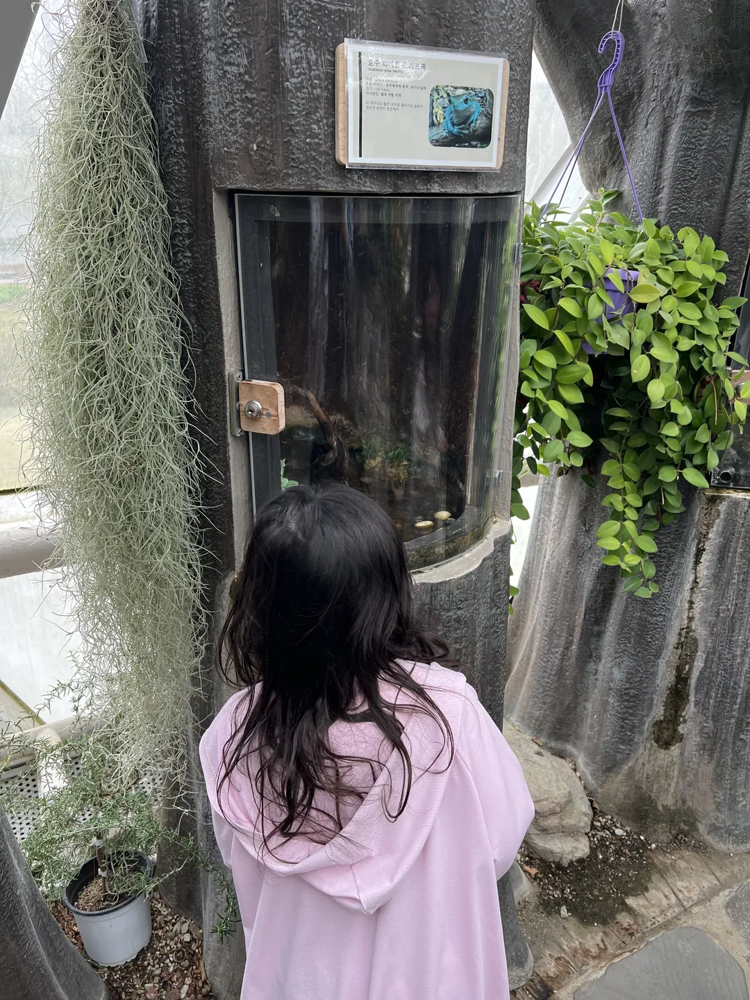 개구리생태공원 개구리생태관
