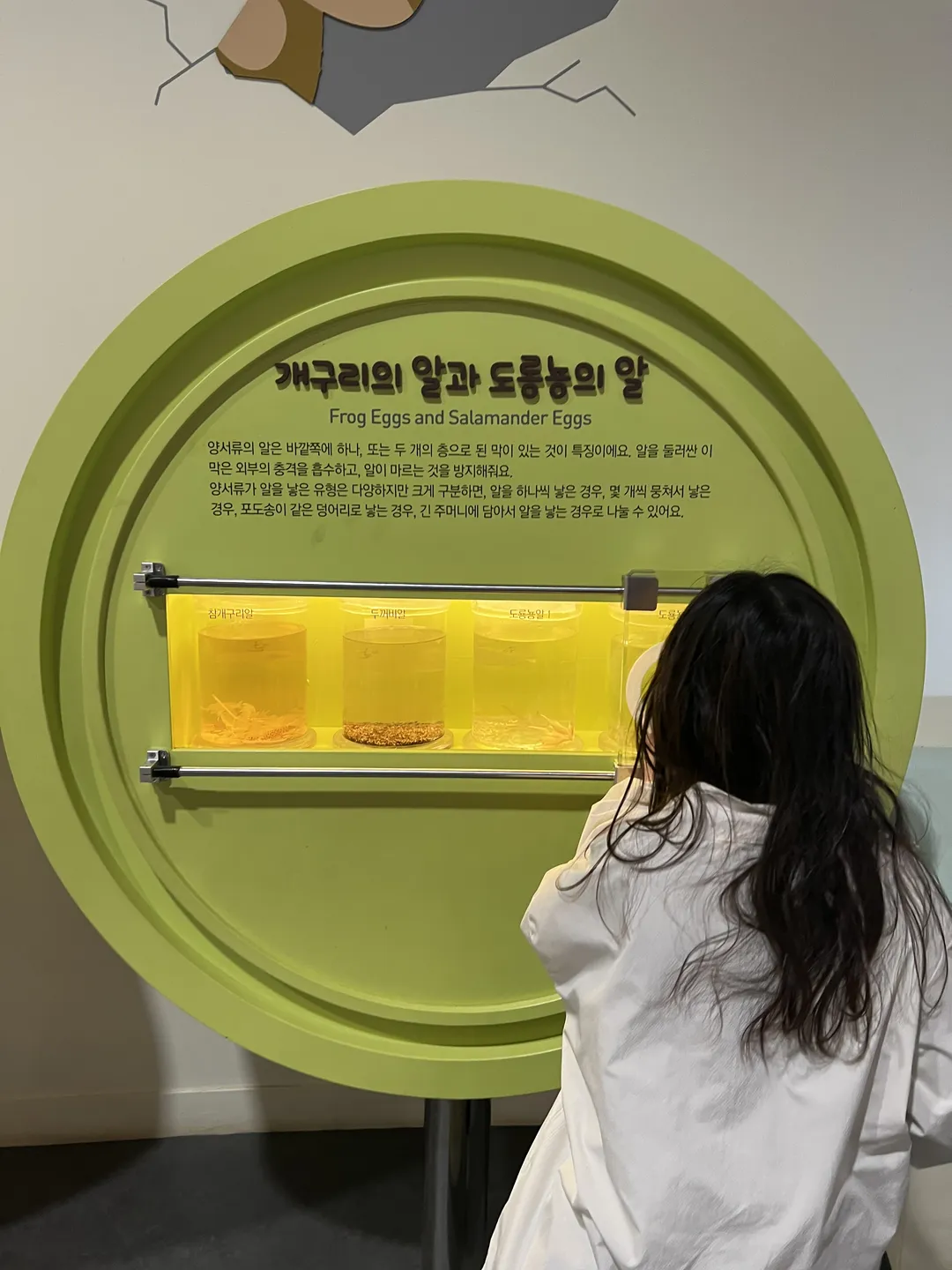 개구리생태공원 개구리전시관