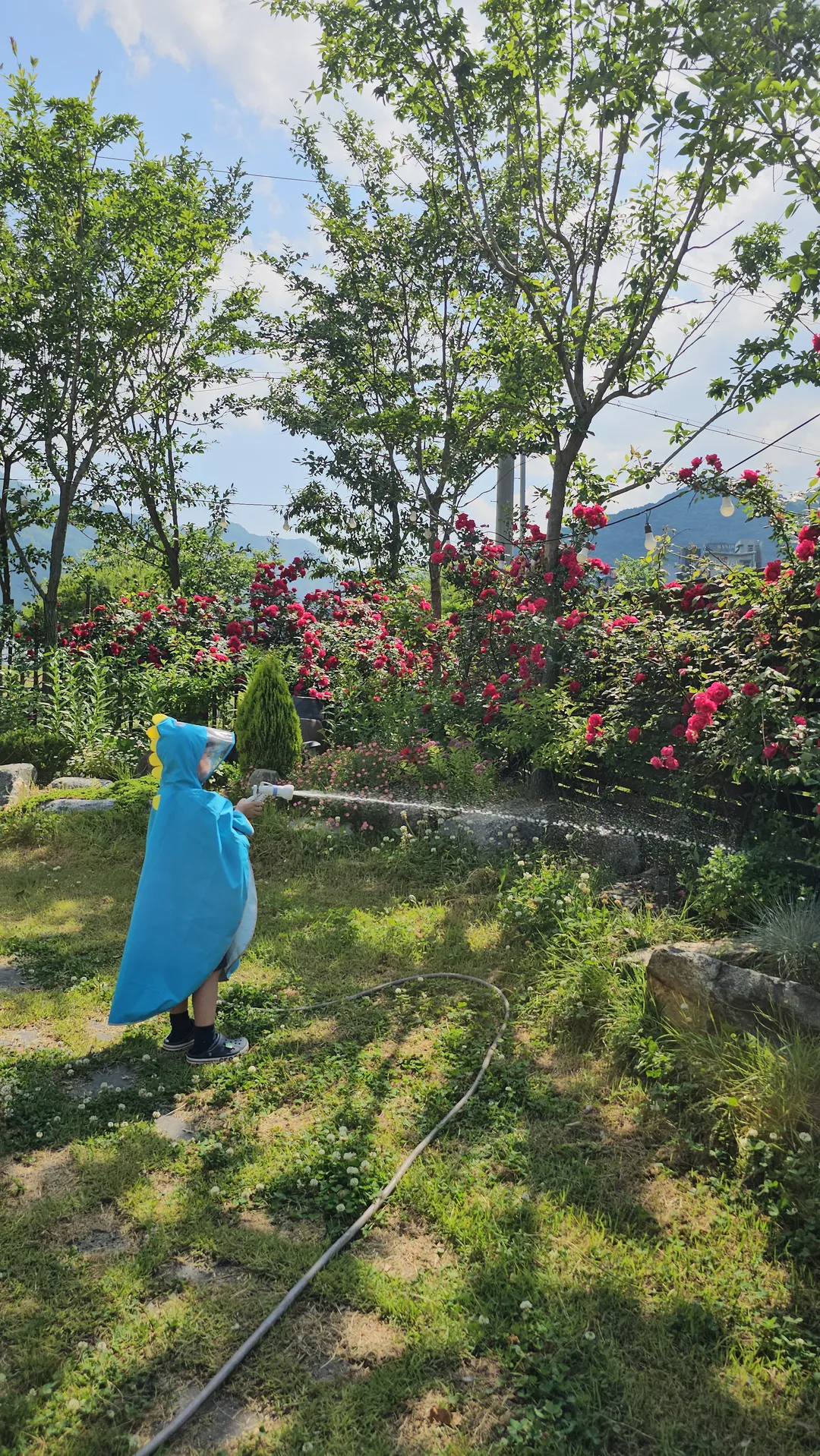 파크오브드림 The Farm(어린이 프로그램) 사진 13