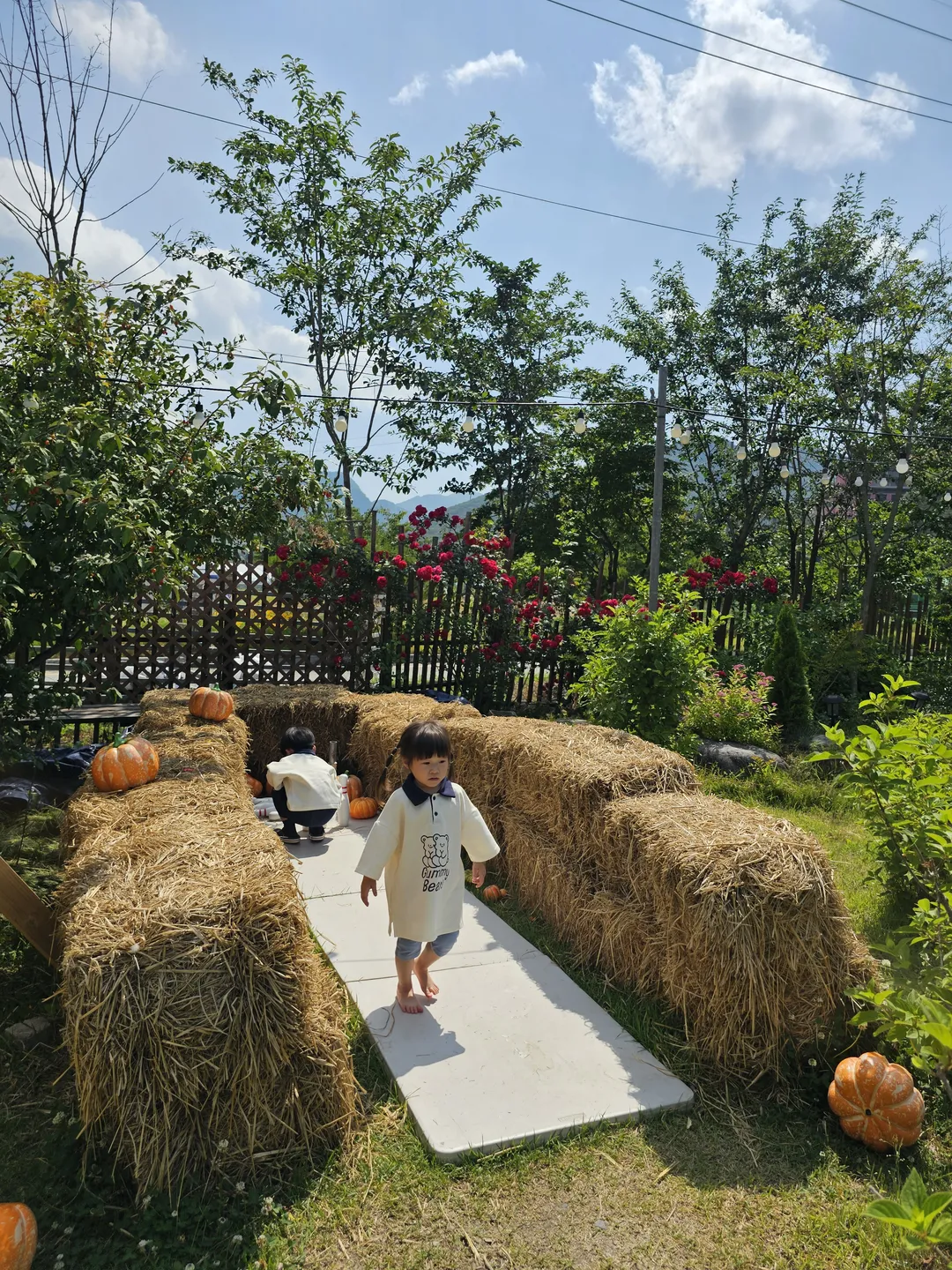 파크오브드림 The Farm(어린이 프로그램) 사진 6