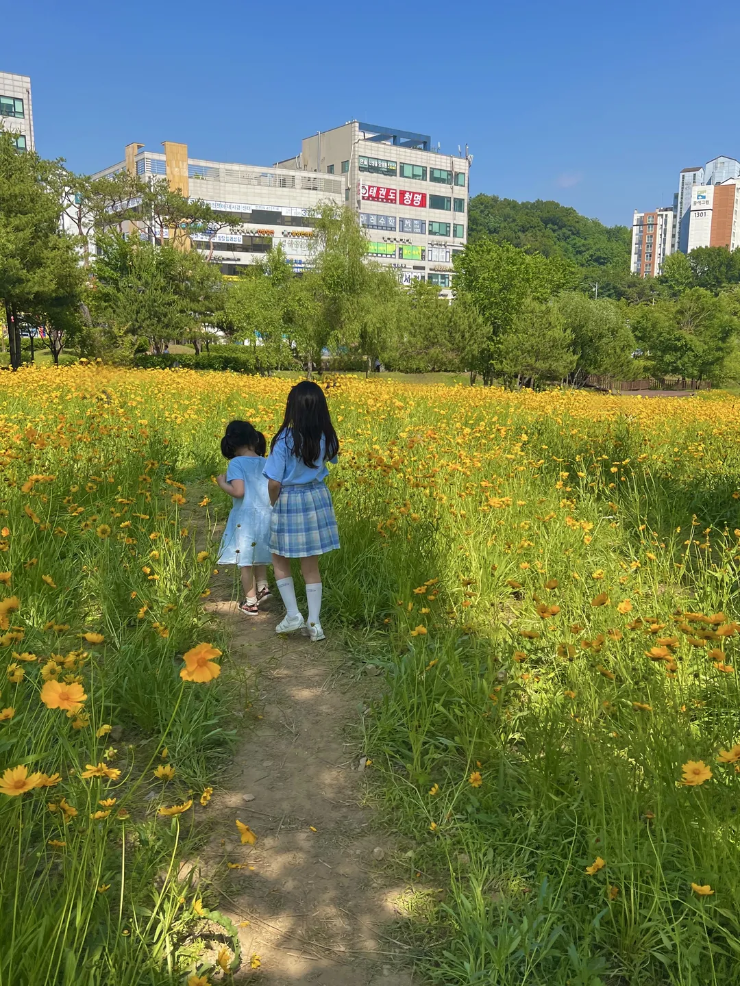 오산 고인돌공원 사진 21