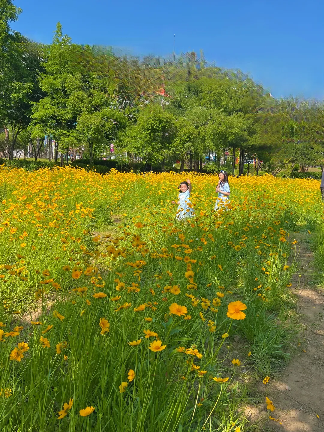 오산 고인돌공원 사진 22
