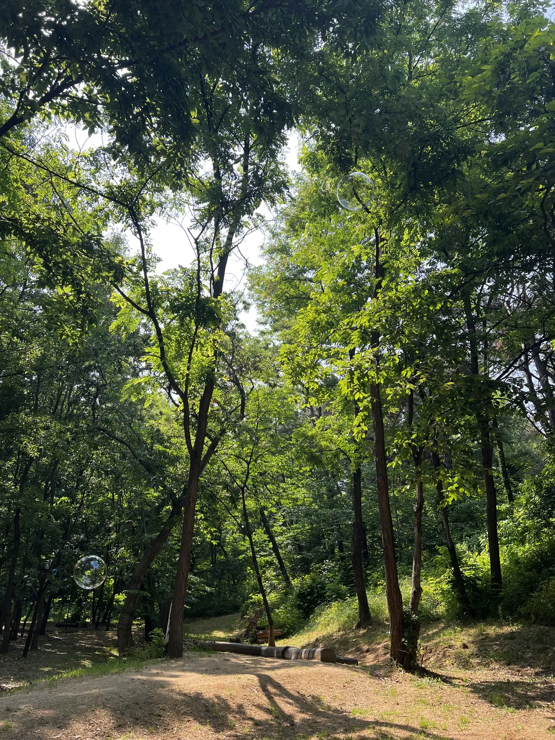 오산 고인돌공원 사진 6