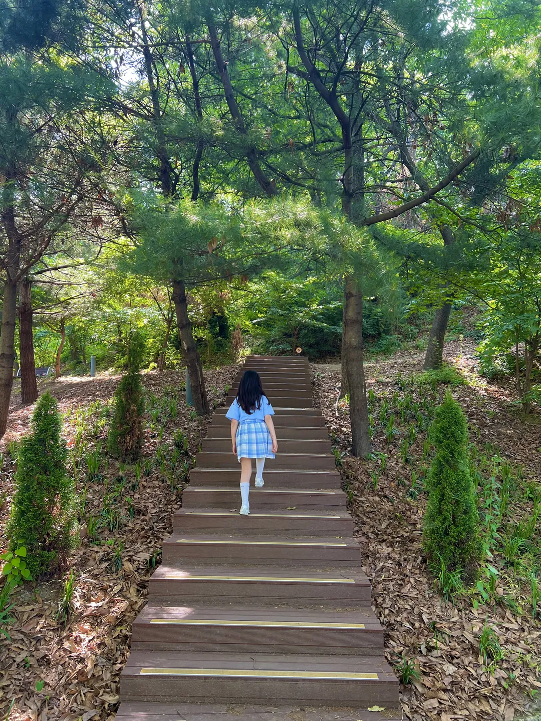 오산 고인돌공원 사진 7