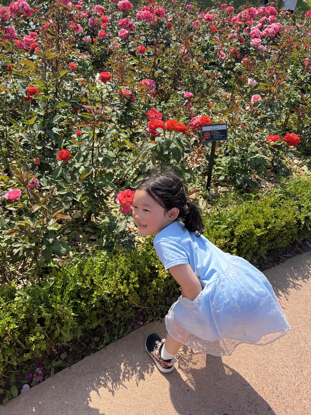 오산 고인돌공원 사진 19