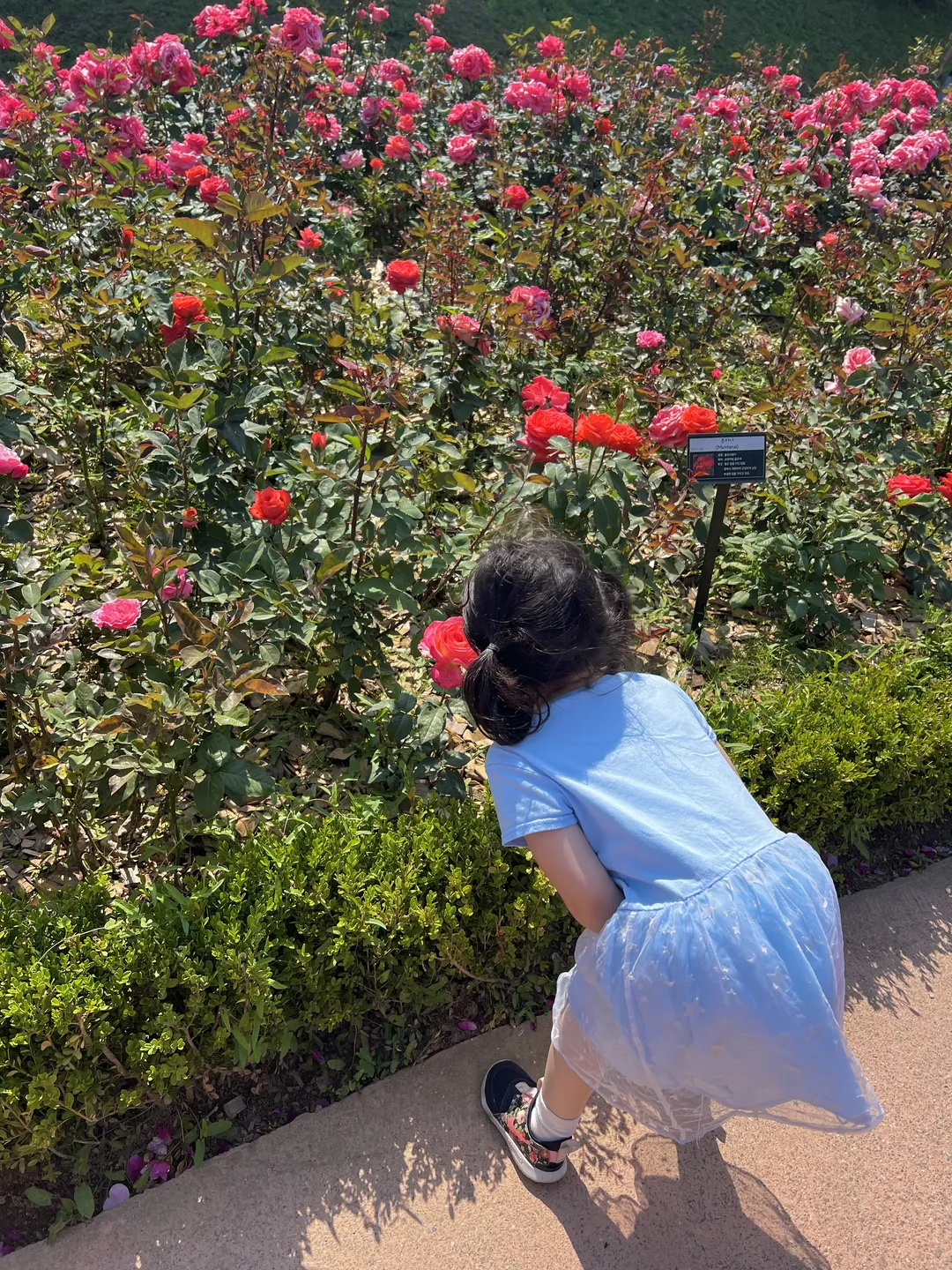 오산 고인돌공원