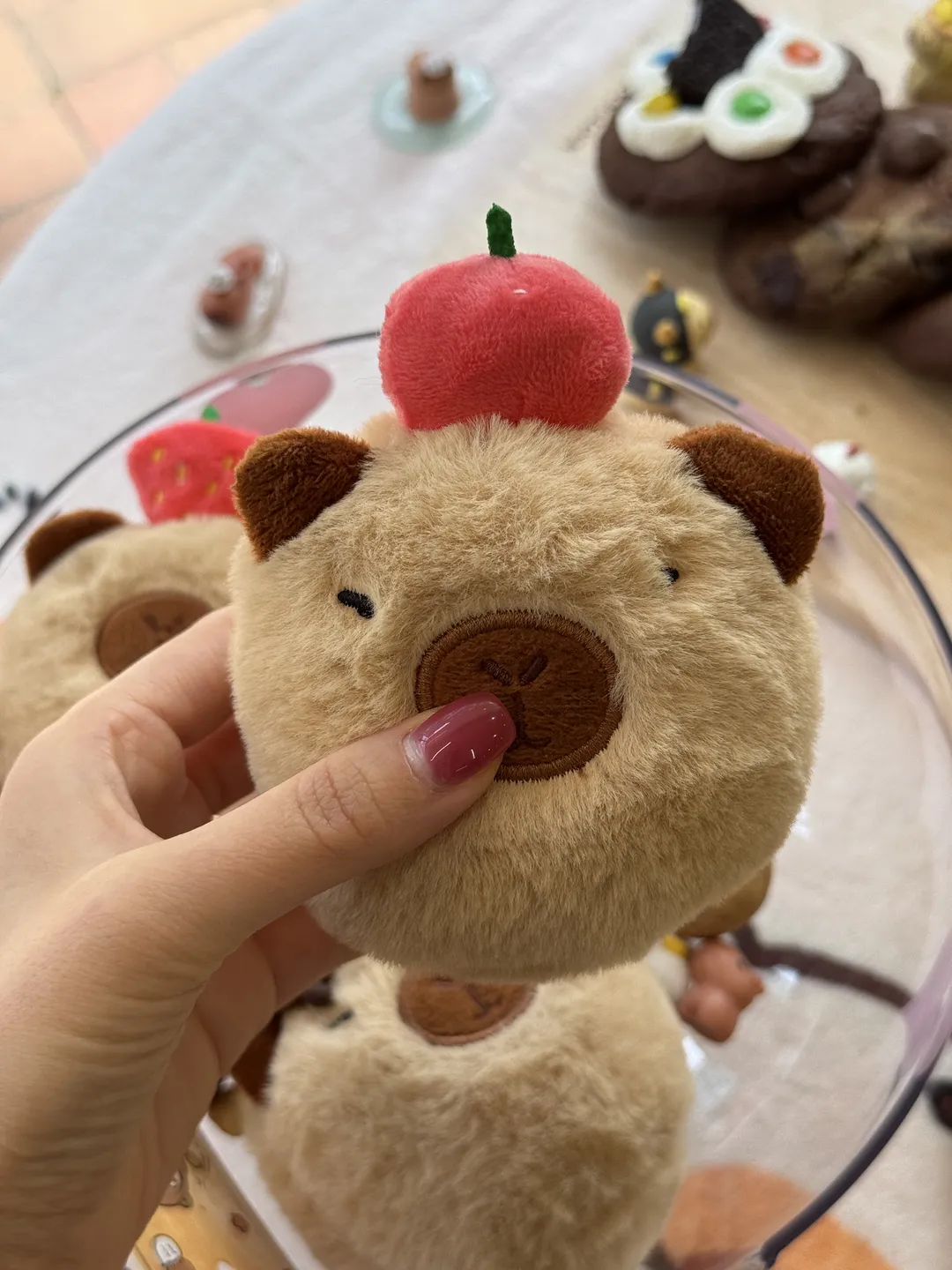 후후쿠키 사진 12