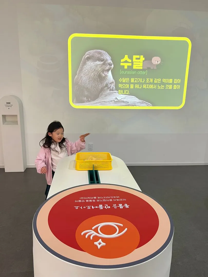 Honam Climate Change Experience Center photo 12