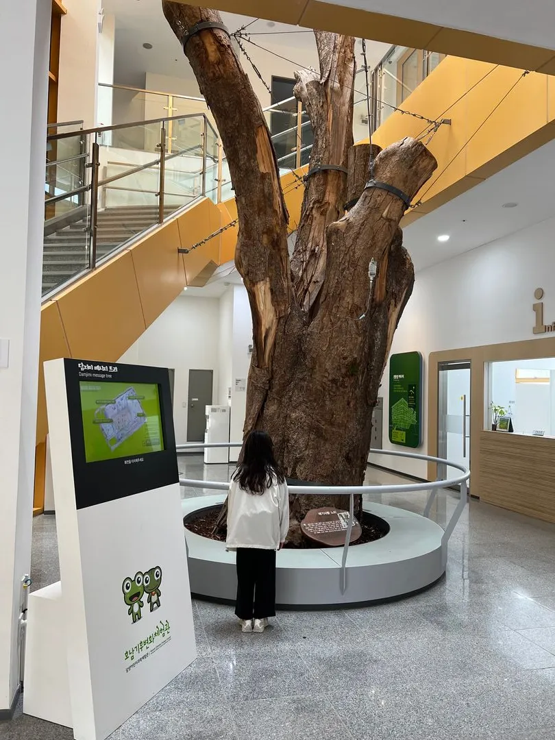 Honam Climate Change Experience Center photo 29
