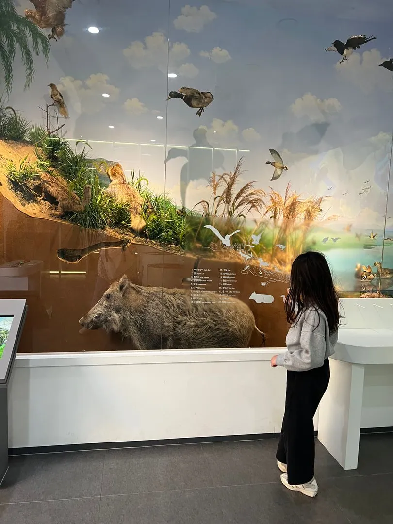 Honam Climate Change Experience Center photo 7