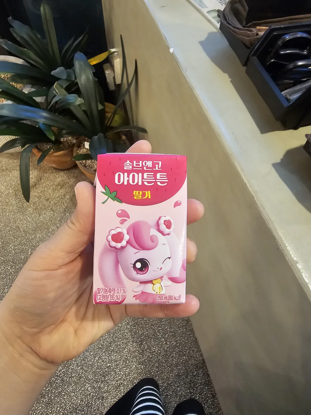 봉블레 사진 18