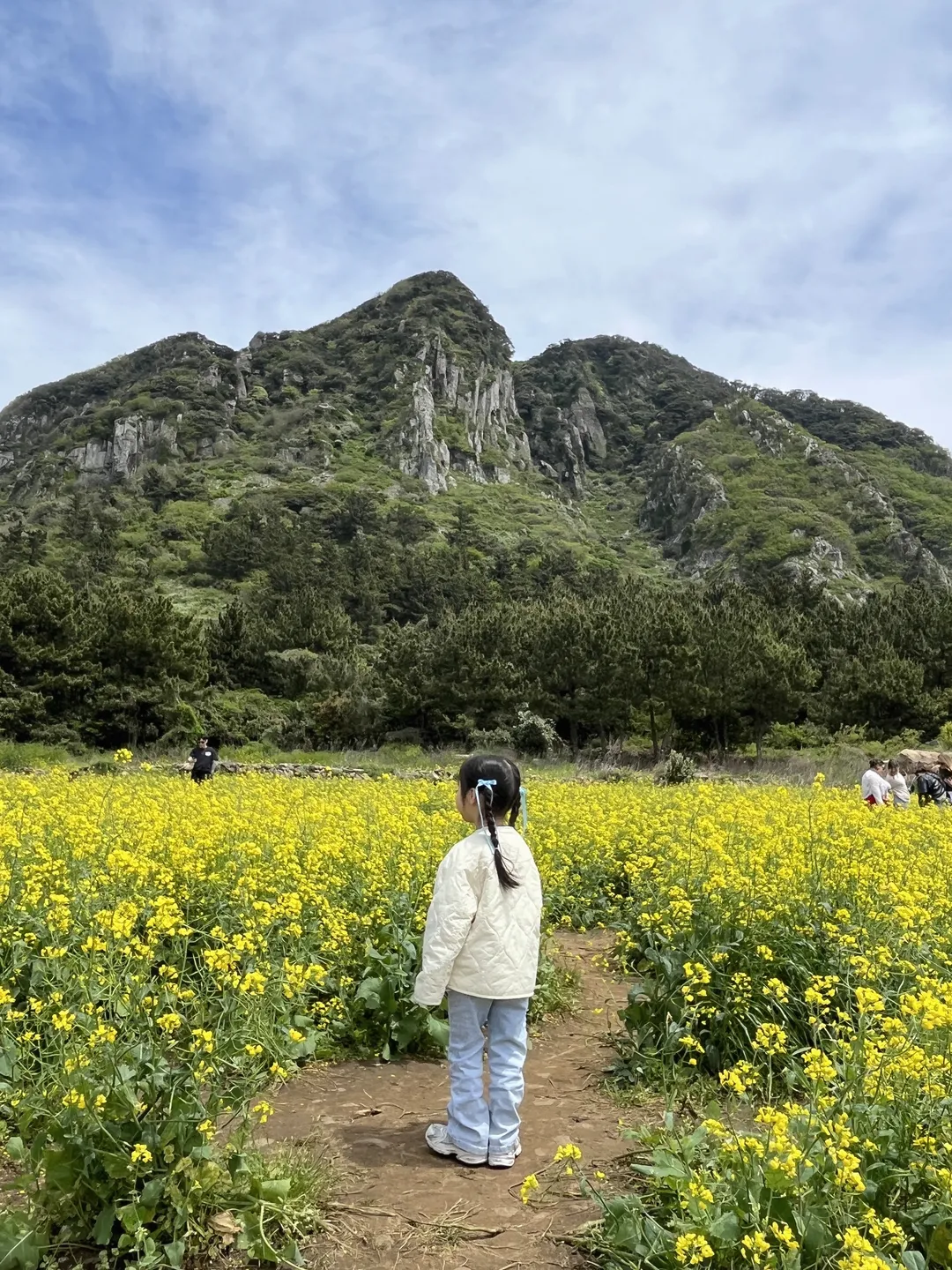 산방산꽃드레