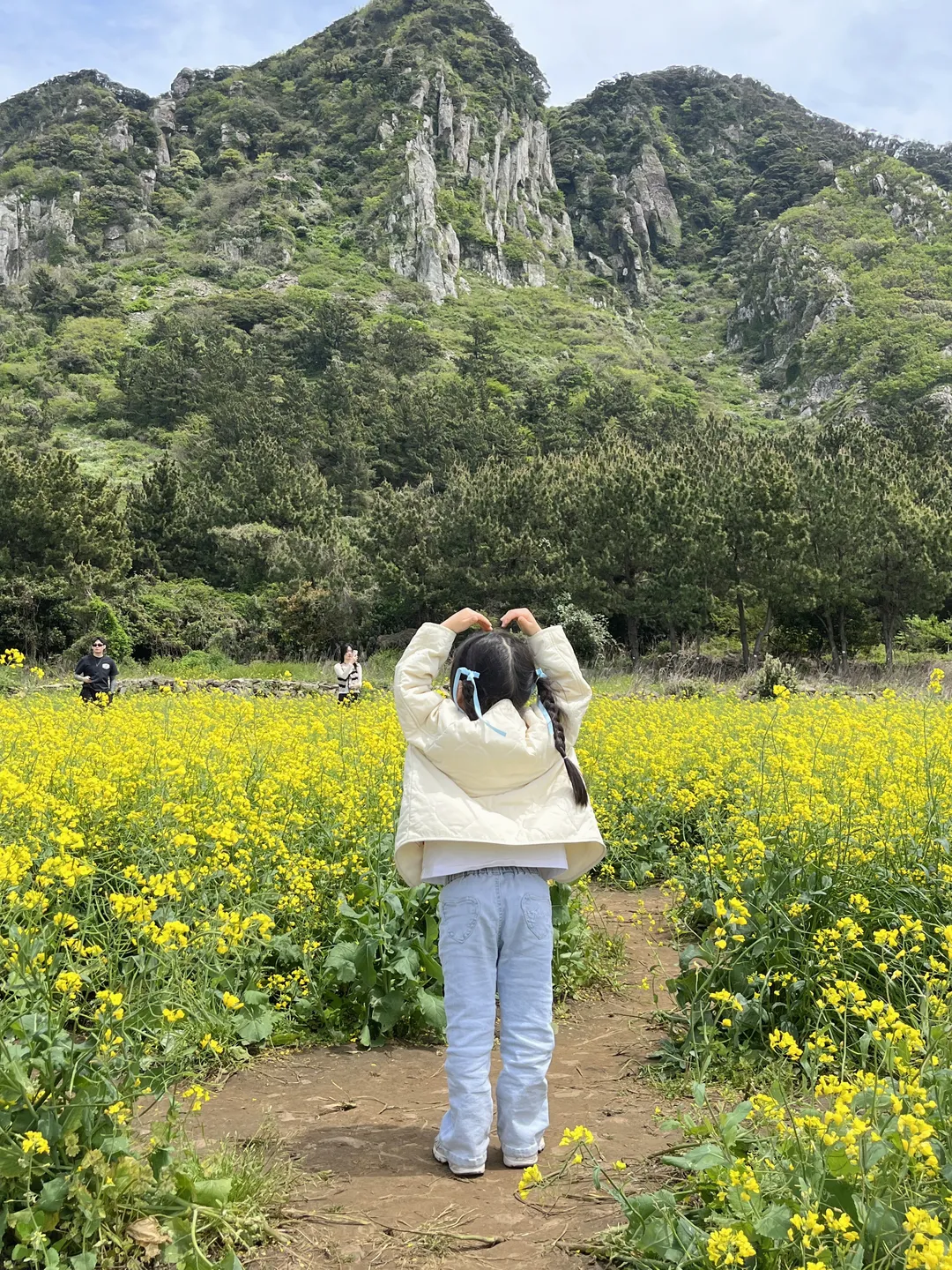 산방산꽃드레