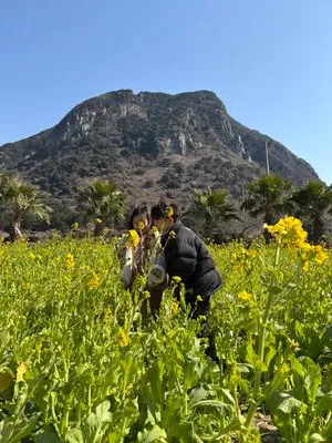 산방산꽃드레