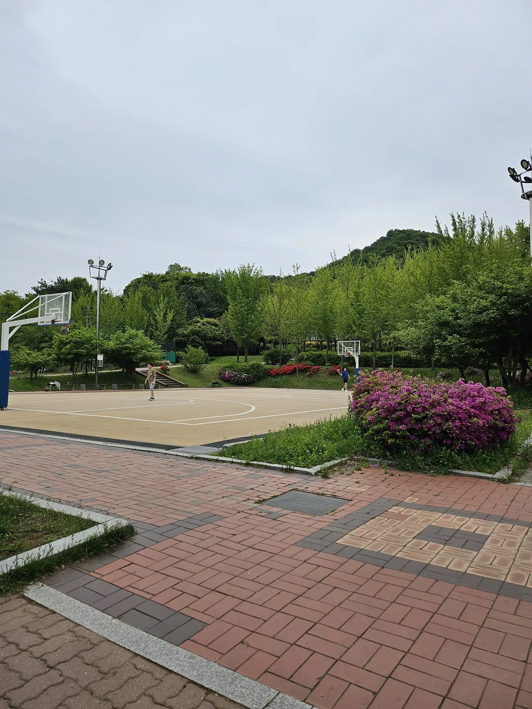 원적산공원 사진 13