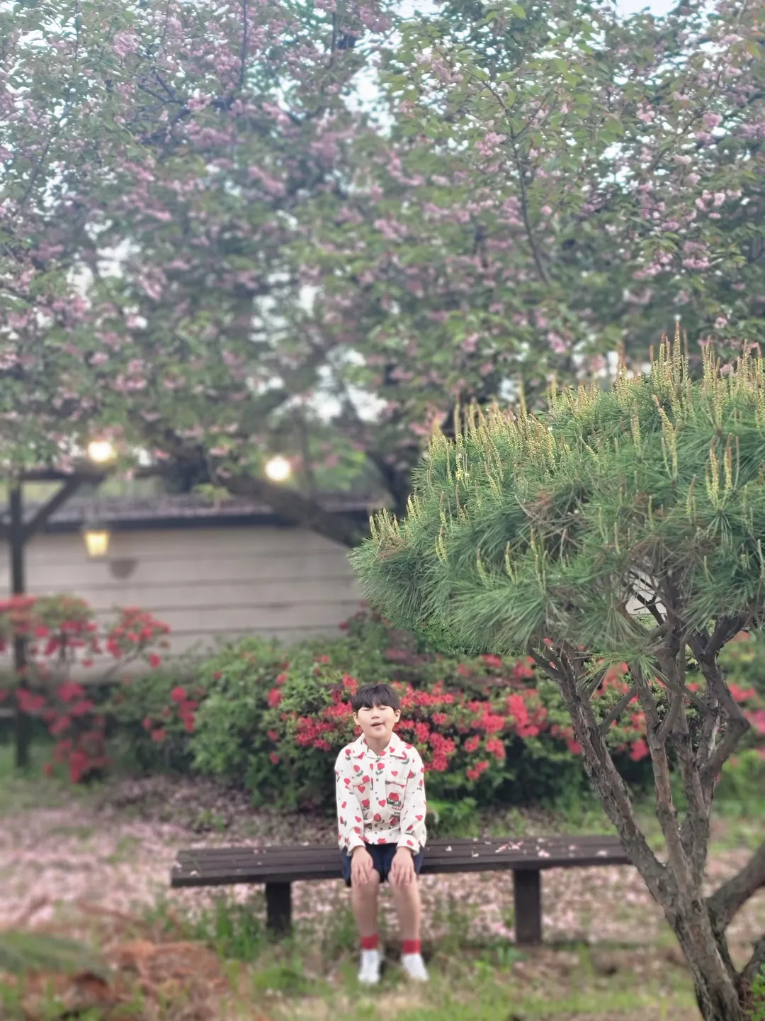 로빈포레스트 사진 6