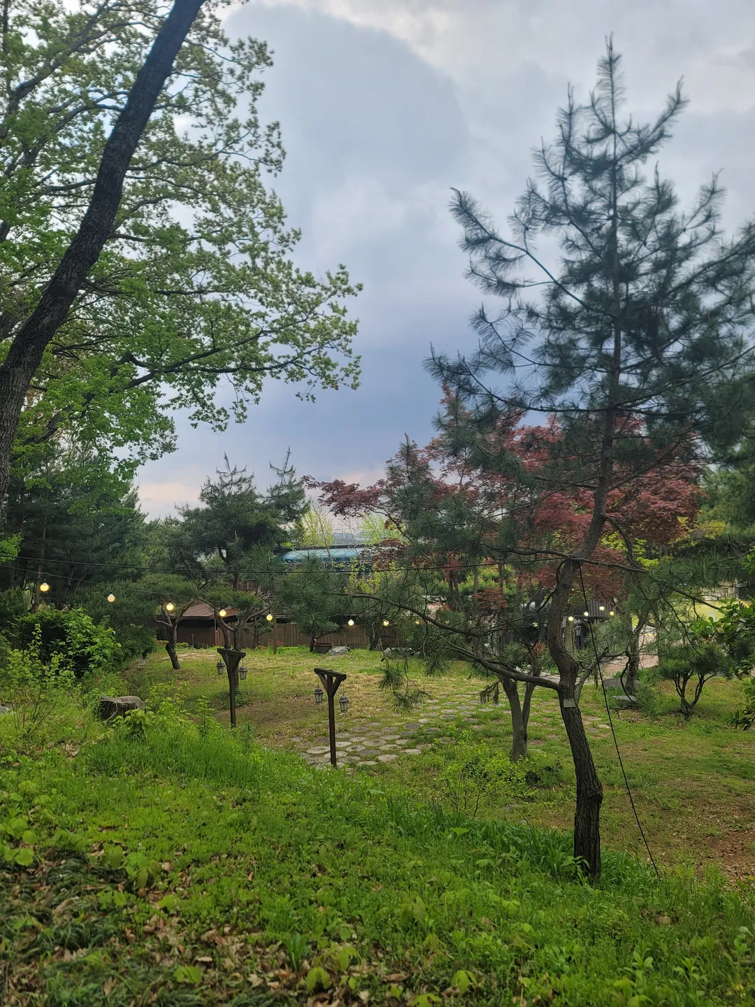 로빈포레스트 사진 10