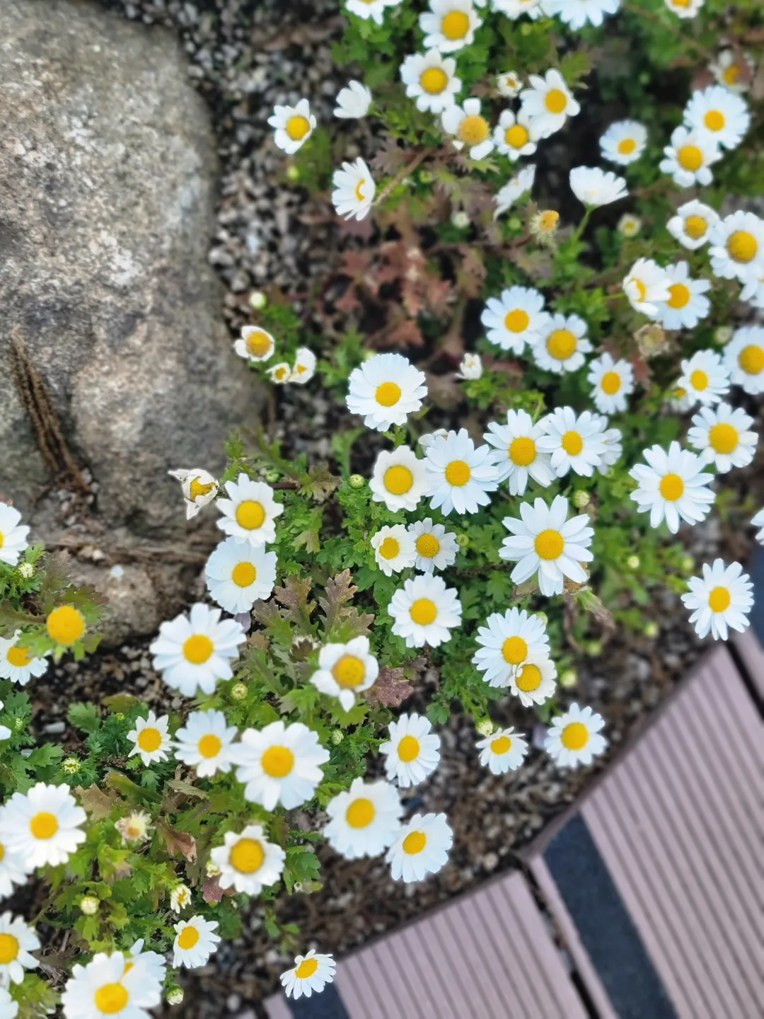 강변서재 사진 7