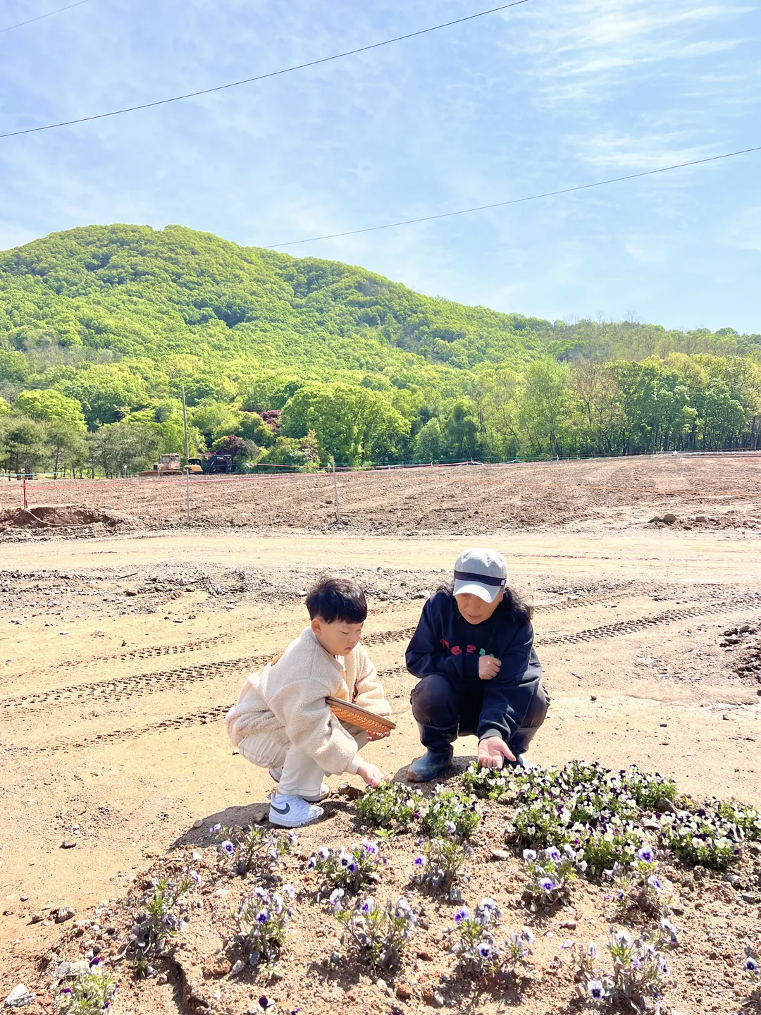 게으른농부 사진 7
