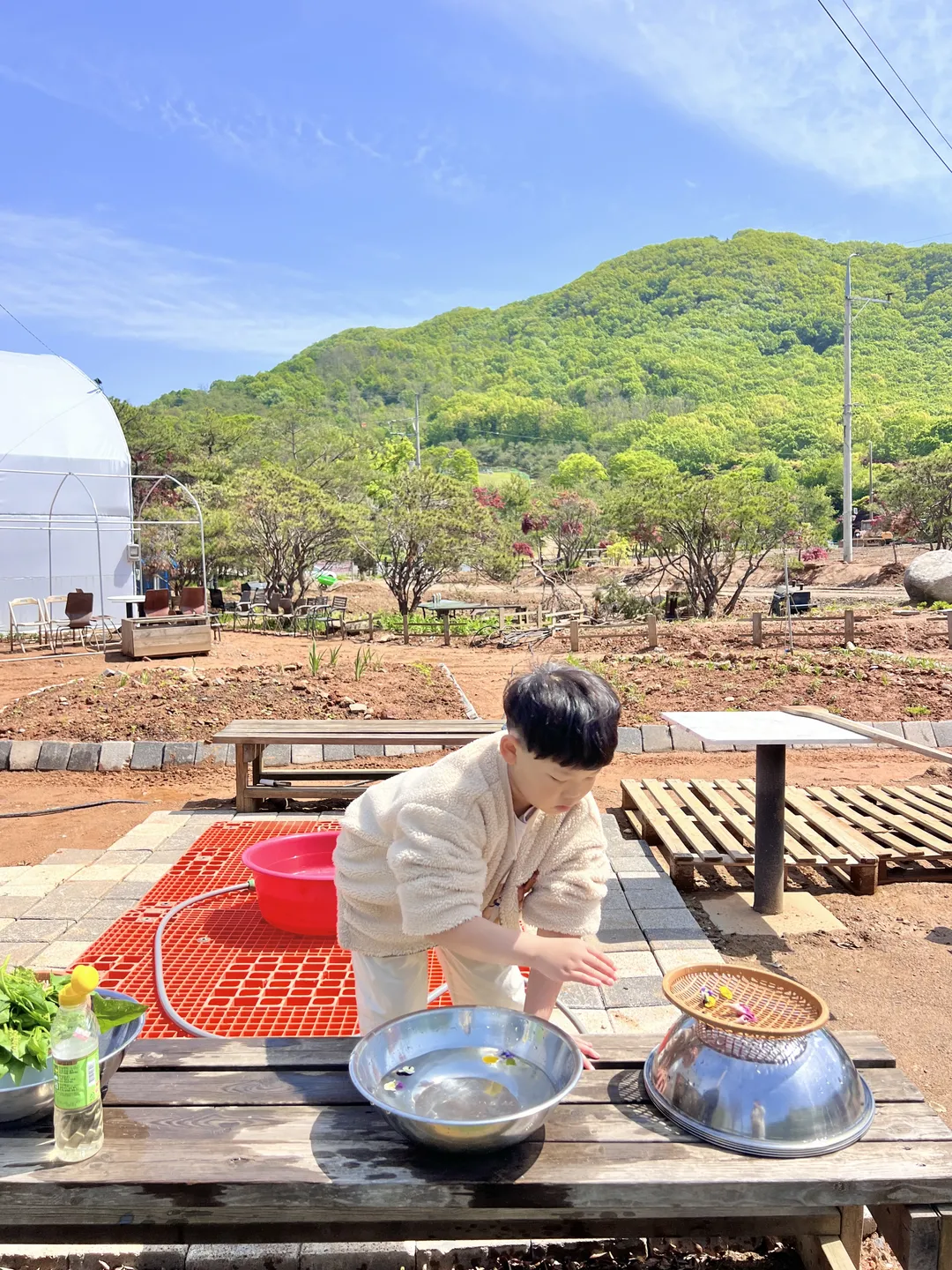 게으른농부 사진 6