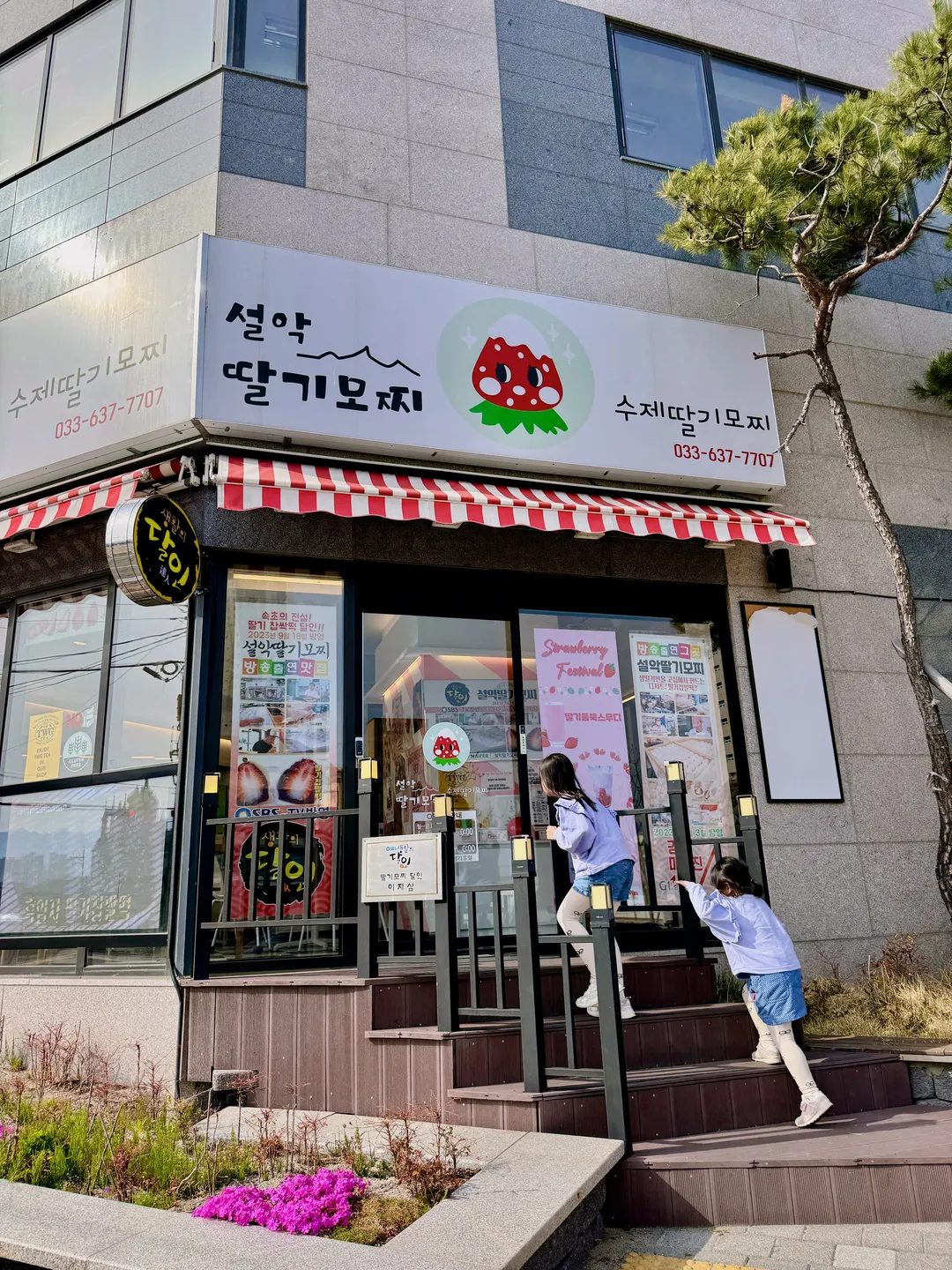 설악딸기모찌