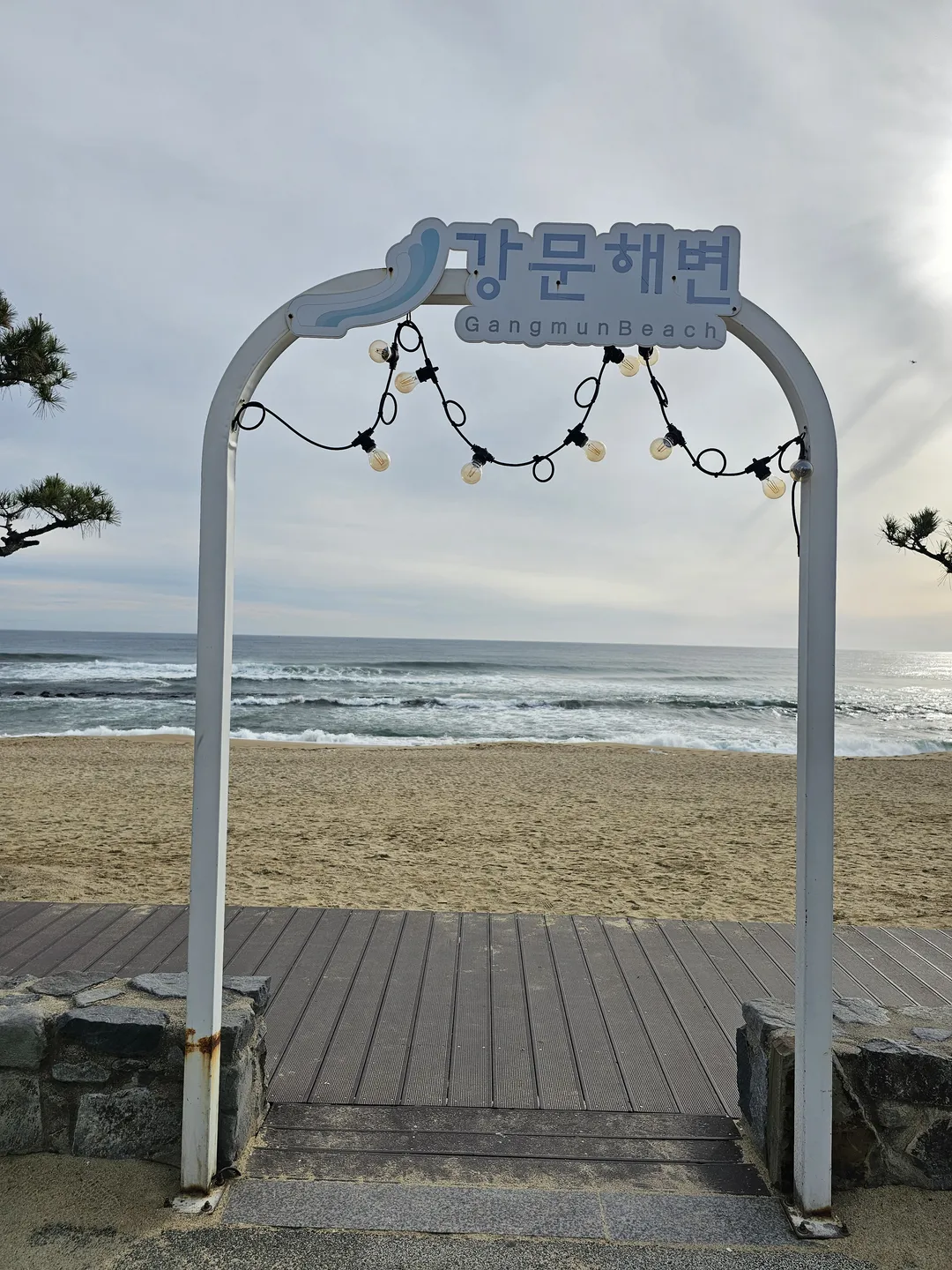 강문해변 사진 10