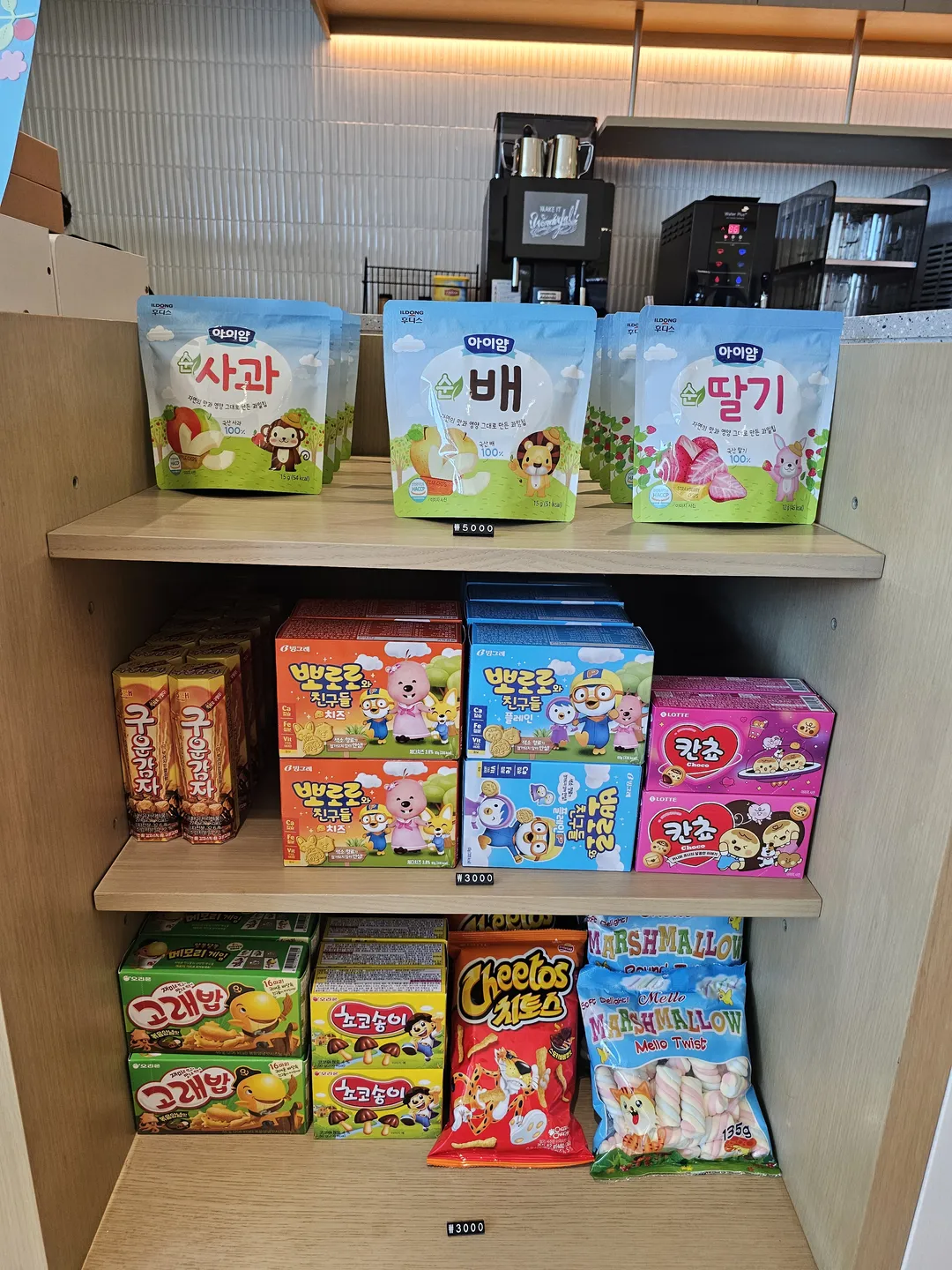 카시아속초호텔앤리조트 PLAY PLAY 사진 16