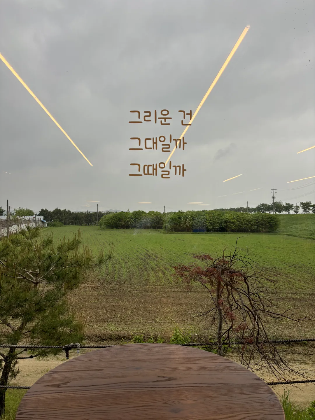 밀크 사진 8