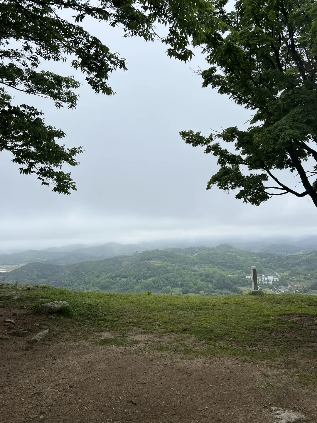 부여 성흥산성 사랑의나무 사진 8