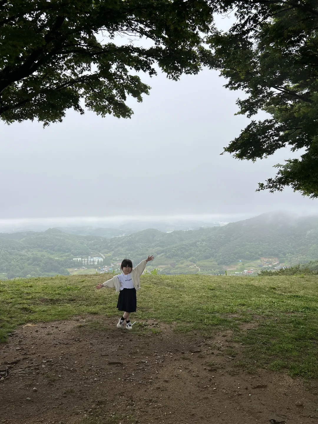 부여 성흥산성 사랑의나무
