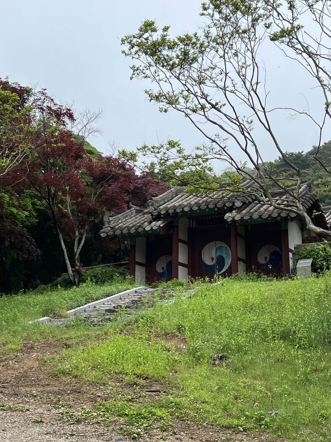 부여 성흥산성 사랑의나무