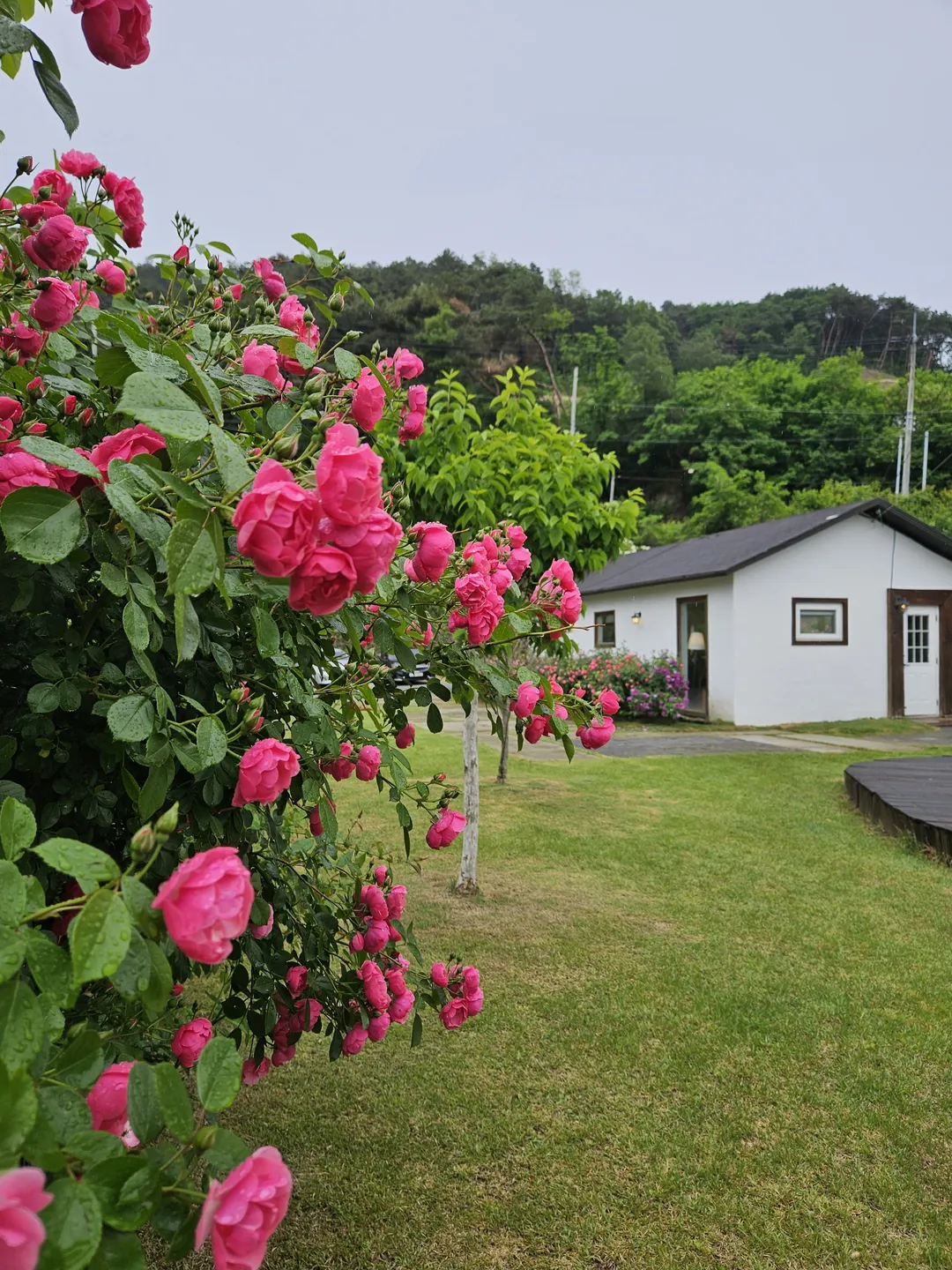 카페 여주 사진 6