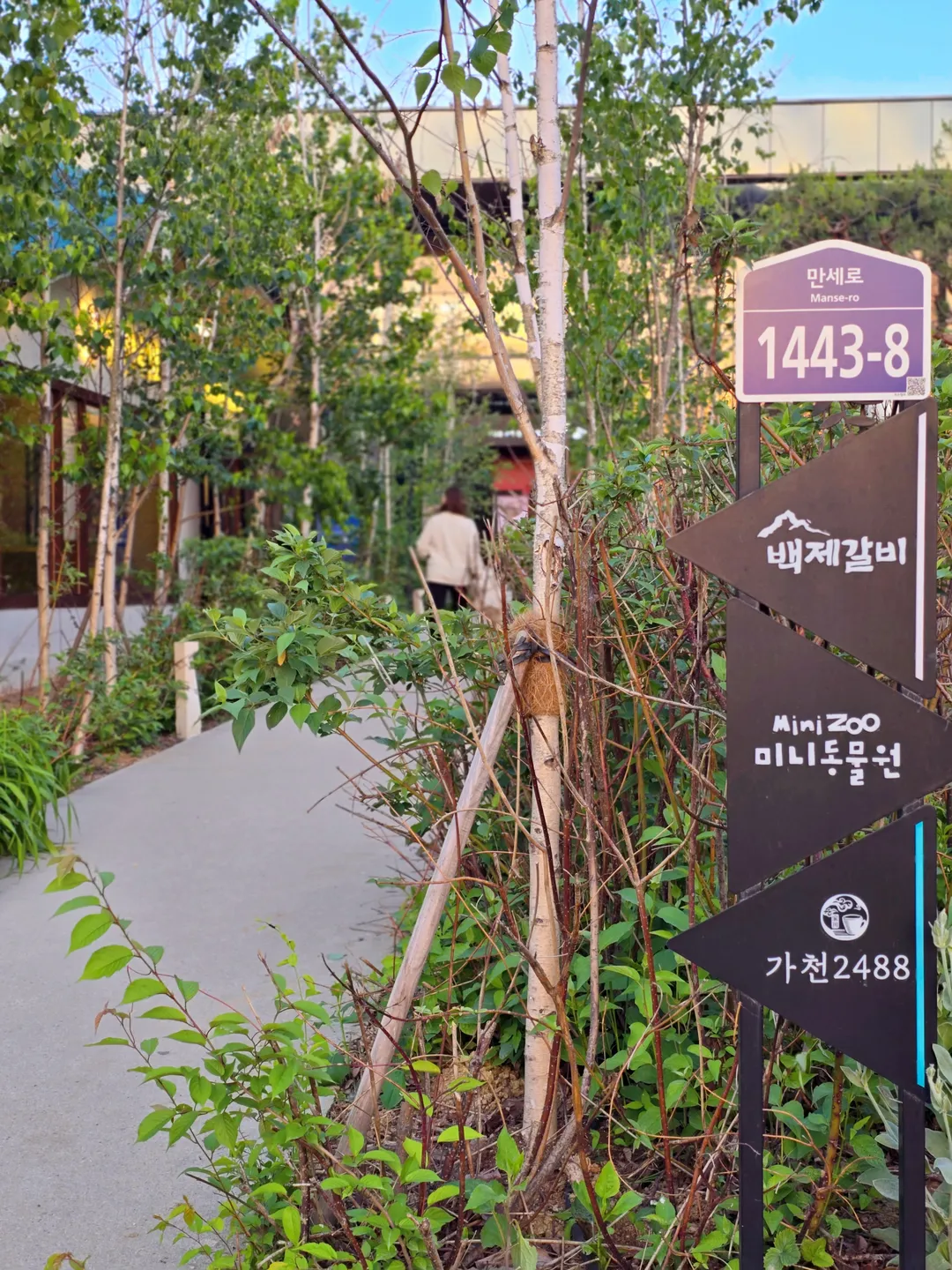 가천2488 사진 12