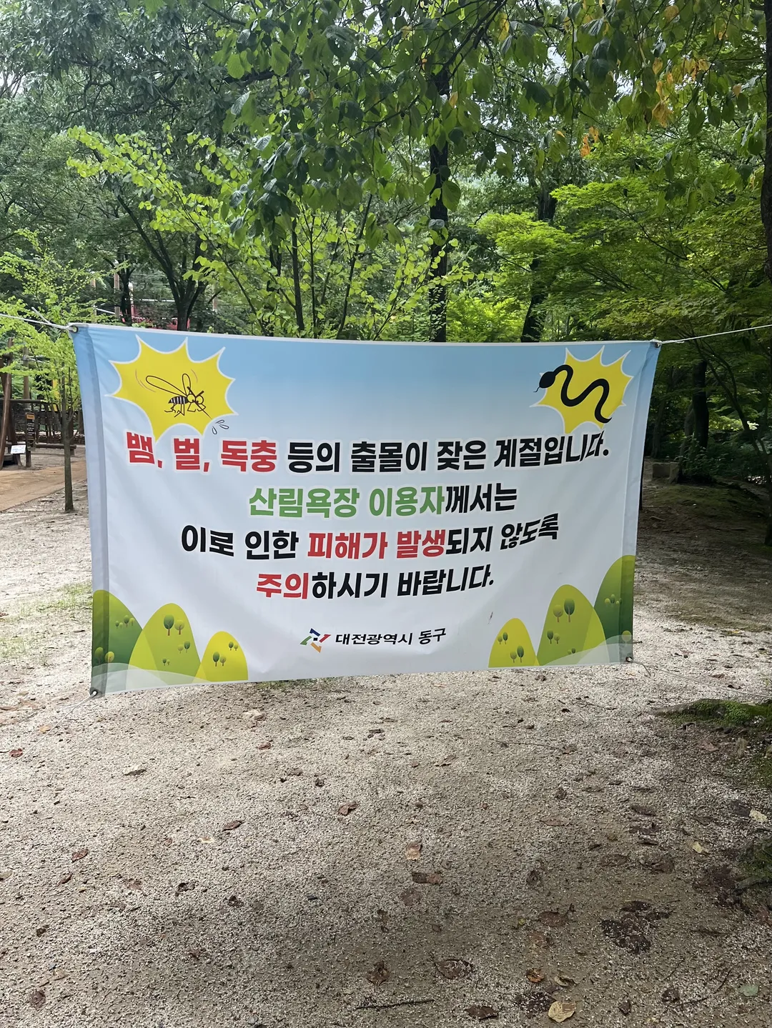 상소동 산림욕장 네트어드벤처 사진 13