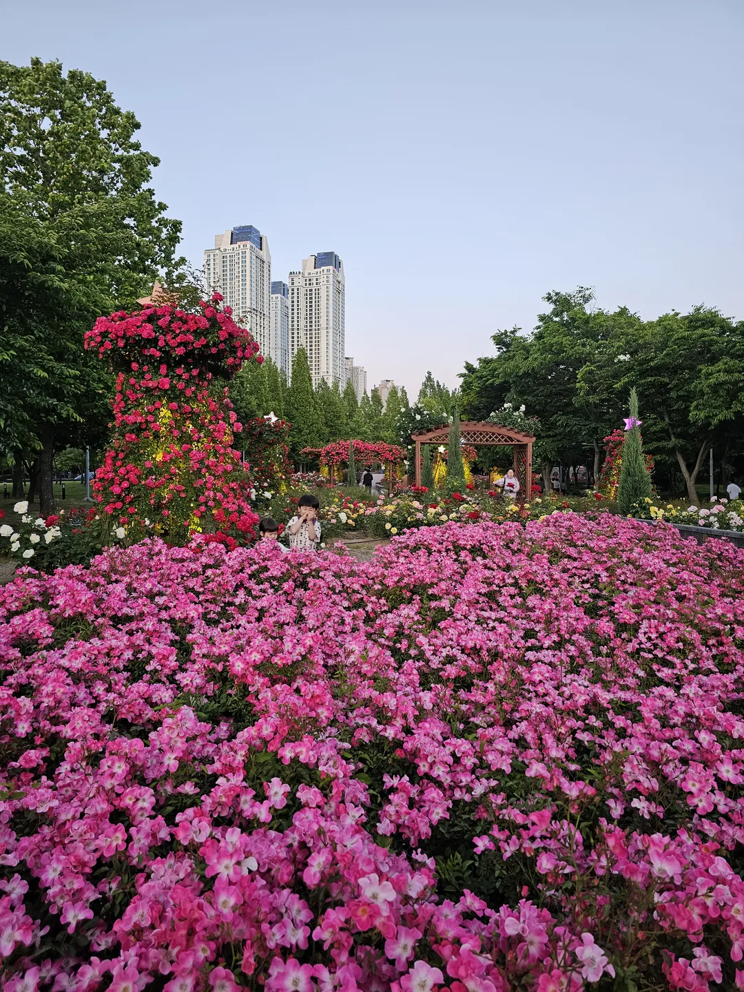 해돋이공원