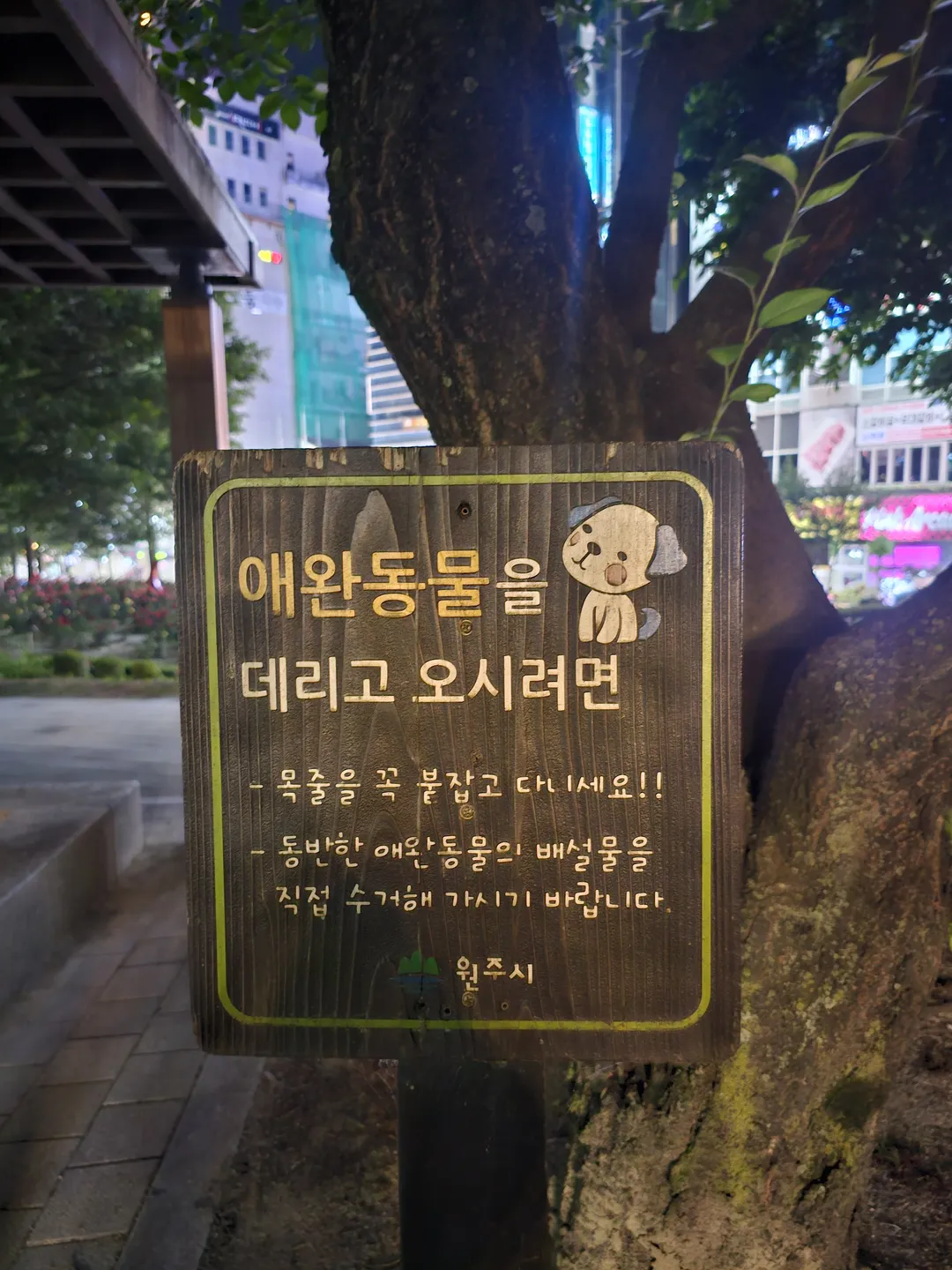 장미공원 사진 26