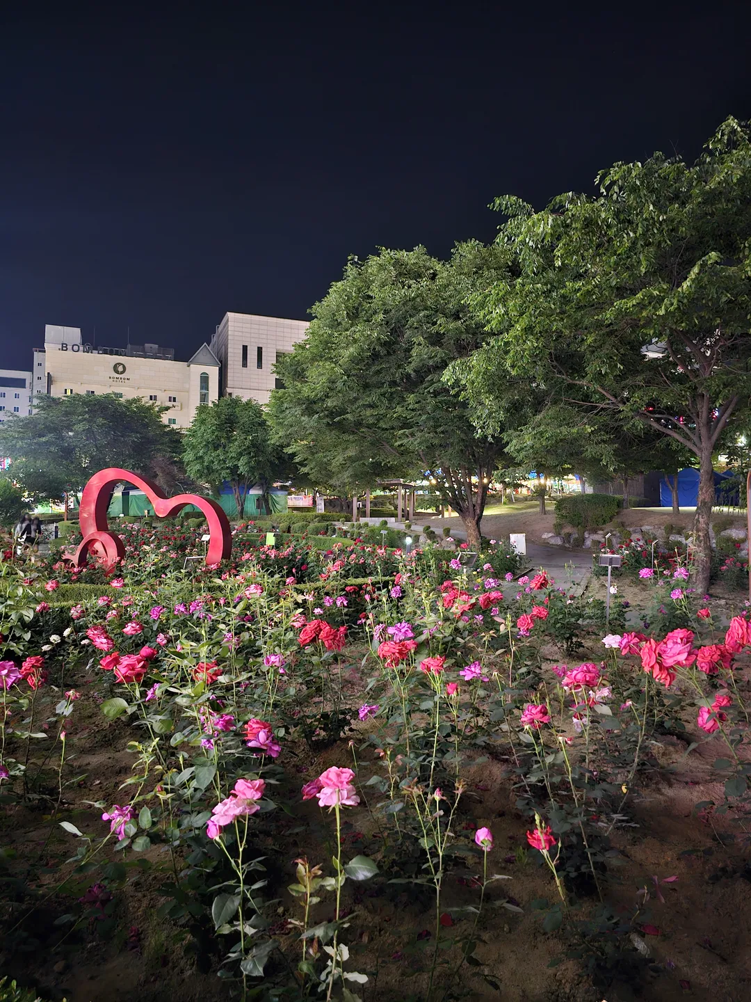 장미공원 사진 20