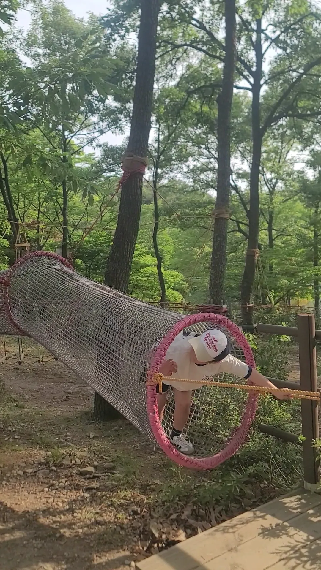 태조산산림레포츠시설 사진 6