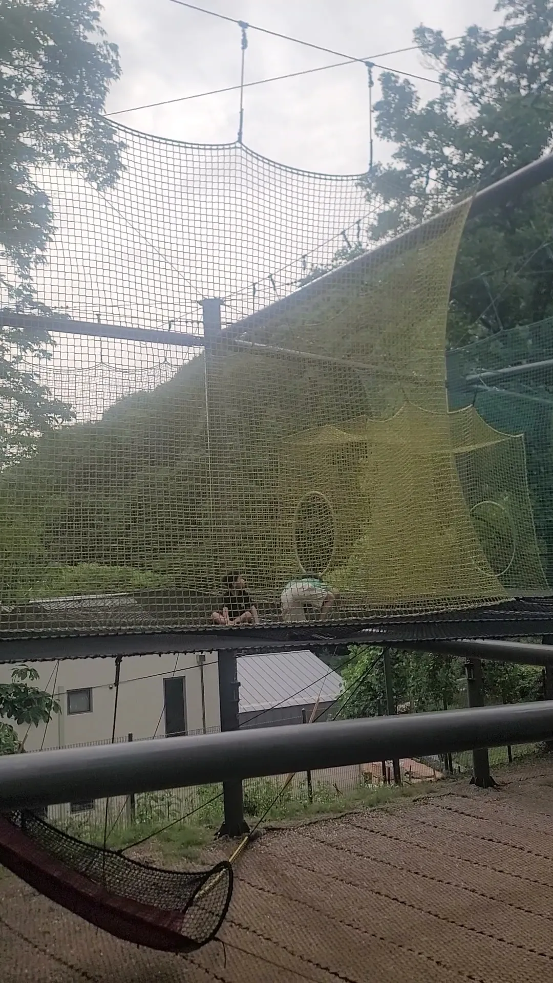 태조산산림레포츠시설 사진 7