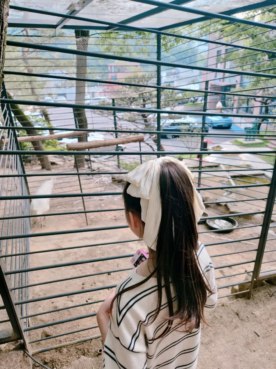 냅인더선샤인 사진 12