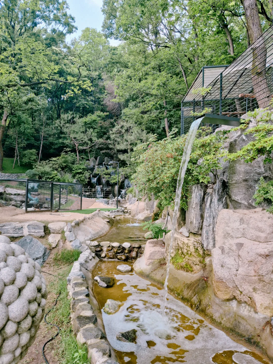 냅인더선샤인 사진 27