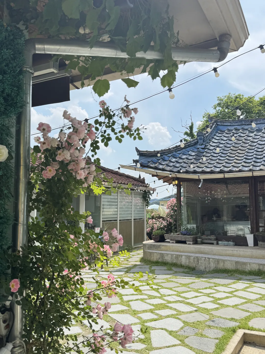 지안커피 사진 12