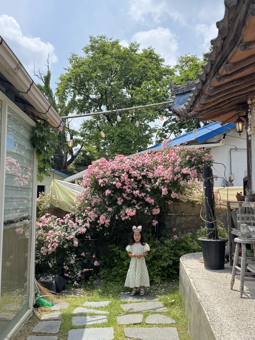 지안커피 사진 9