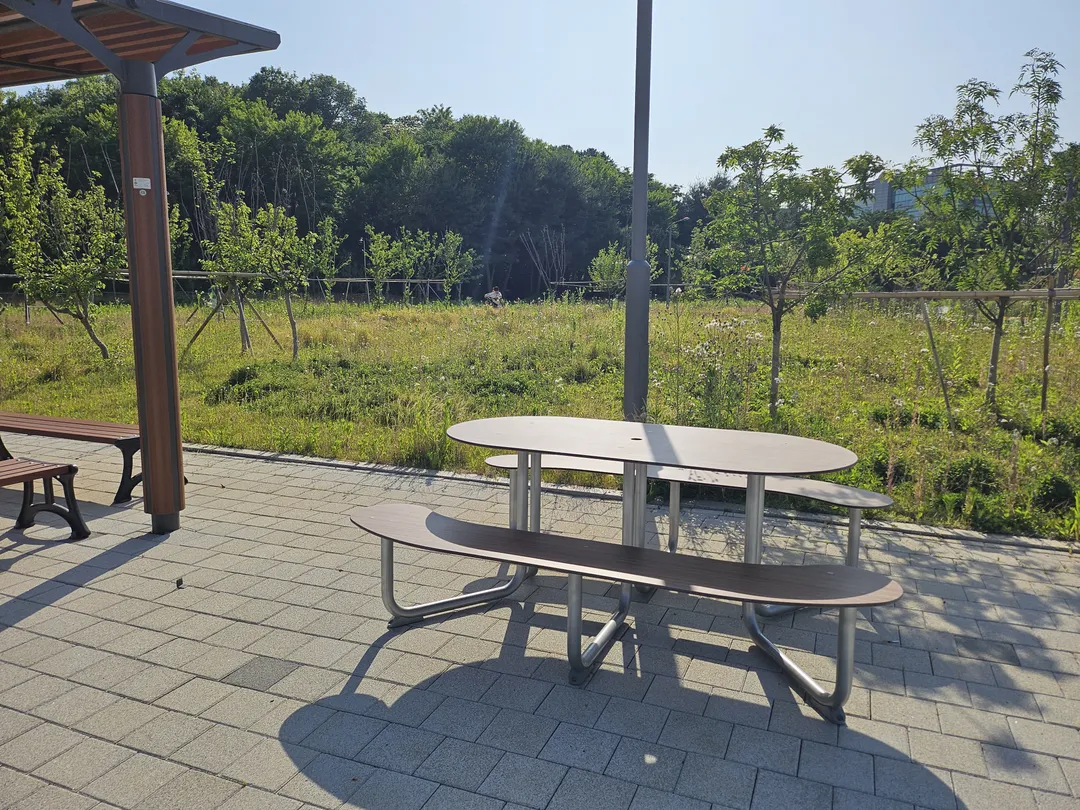 청룡두천 수변공원 사진 19